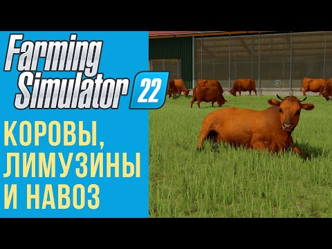 Видео: 🐮 Всё о коровах в Farming Simulator 22