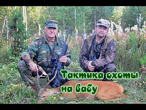 Видео: Техника охоты на косулю манком. Разбор охоты.