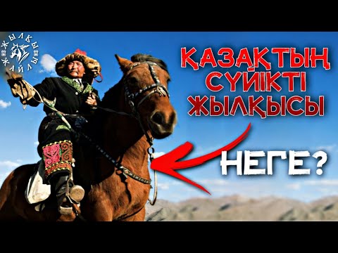 Видео: ҚАЗАҚТАР ҚАНДАЙ АТТЫ ЖАҚСЫ КӨРГЕН❓ - Жылқы Жайлы