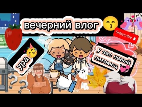 Видео: наш Вечерний🌆 влог и новый ПИТОМЕЦ 🐱как вам новая обложка? 💞