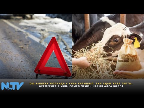 Видео: Ош-Бишкек жолунда 4 унаа кагышып, эки адам каза тапты. Фермерлер 3 млн. сомго чейин насыя алса болот
