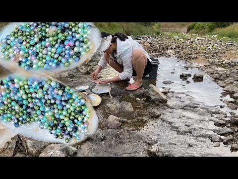 Видео: Как делают черный жемчуг, из идеальных жемчужных устриц получаются идеальные жемчужины
