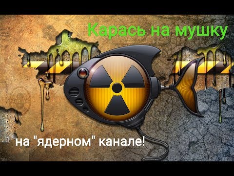 Видео: Карась спортивного размера на мушку. "Ядерный" канал, нахлыст, нимфовый монтаж.