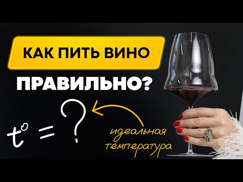 Видео: Как пить и наслаждаться вином правильно? [ ВИННЫЙ ГИД ]