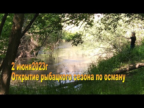 Видео: открытие рыболовного сезона , осман на р.Биже 02.06.23