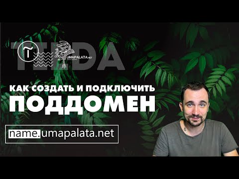 Видео: Как настроить поддомен в Tilda | Reg.ru