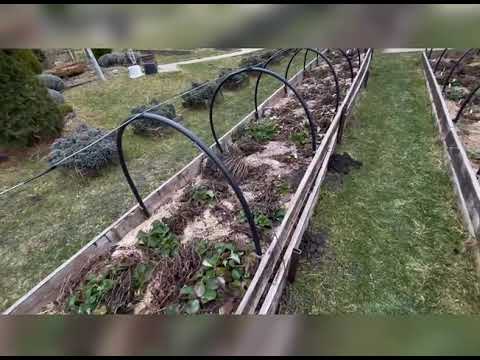 Видео: Організація грядок в коробах.  Поради та відповіді на ваші запитання (2 серія)