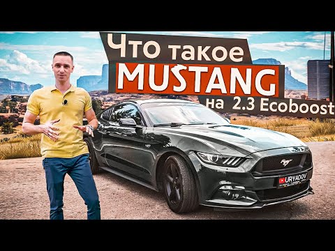 Видео: СТОИТ ЛИ ПОКУПАТЬ FORD MUSTANG 2.3 EcoBoost ?!