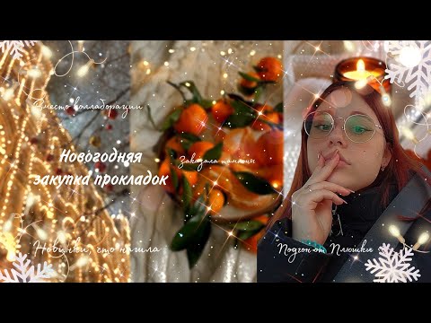Видео: Новогодняя закупка прокладок 🦁/Подгон от Плюшки 🥰