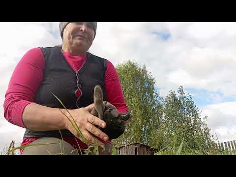 Видео: #времялетит ,уже 9 сентября 2025 г.