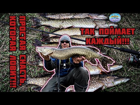 Видео: ЛОВЛЯ ЩУКИ НА ЖИВЦА  ПРОСТАЯ СНАСТЬ, КОТОРАЯ ЛОВИТ