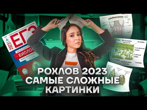 Видео: Самые сложные картинки из Рохлова 2023 | Биология ЕГЭ 2023 | Умскул