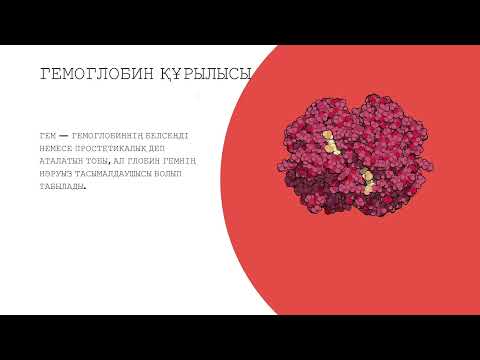 Видео: Зат тасымалдануы, гемоглобин