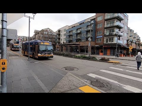 Видео: ВЛОГ #58. США. Окрестности Сиэтла. Kirkland - бывший "дом" Costco. Жилье, цены, прогулка по городу.