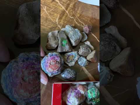 Видео: КАМЕНЬ, ножницы, Бумага! Что из этого получится?🤗 #камни #идея #идеидлядизайна 