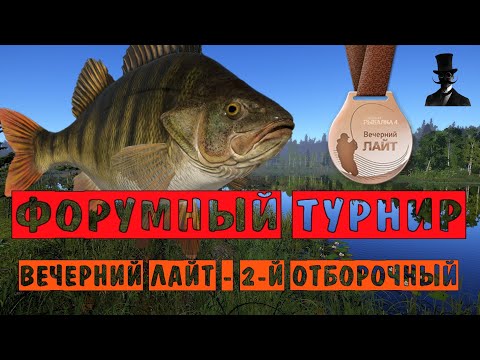 Видео: Окунь и щука на Старом Остроге. Вечерний Лайт - 2-й отборочный. Русская Рыбалка 4.