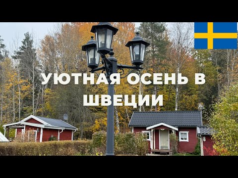 Видео: ОСЕННЯЯ ПРОГУЛКА ПО ДАЧНОМУ КООПЕРАТИВУ И ЛЕСУ В ШВЕЦИИ #sweden #stockholm #fall 