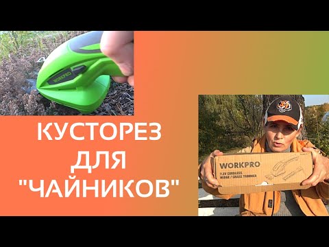 Видео: И как я без них жила? Аккумуляторные ножницы для газона и кустарника WORKPRO