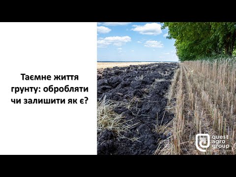 Видео: Таємне життя грунту: обробляти чи залишити як є?
