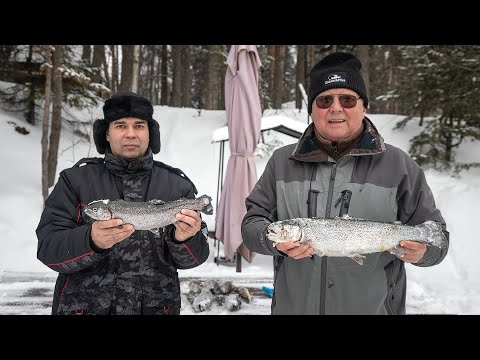 Видео: Форель в глухозимье. Уловистые ВИБЫ на ПЛАТНИКЕ в Подмосковье