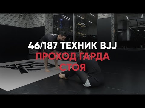 Видео: Проход гарда стоя. Ноу ги