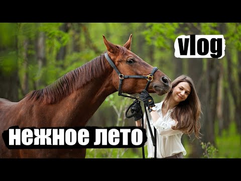 Видео: VLOG: ЗАЕЗДКА - ПРОБУЕМ ГАЛОП 🐎🌿