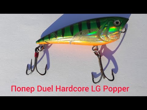 Видео: Окунь на Поппер с Бородкой #fishing #рыбалка #окунь #поппер #жор 