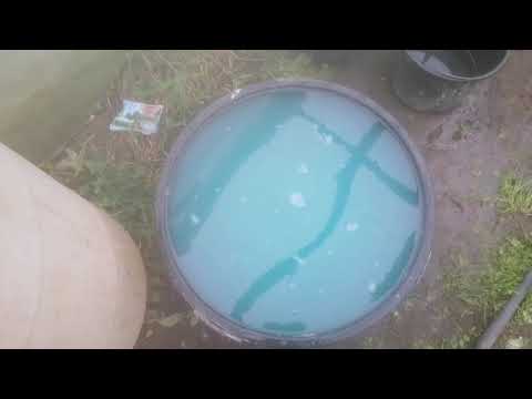 Видео: Дезинфекция теплицы медным купоросом