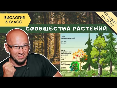 Видео: Растительные сообщества природы. Биология 6 класс. Фитоценоз. Симбиоз растений и их взаимодействие