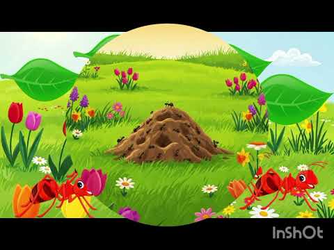 Видео: Логіко-математичний розвиток.Тема:Ігри з комахами.