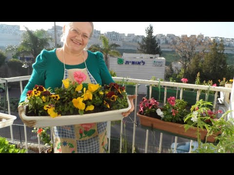 Видео: Обзор квартиры в Израиле.Как живут пожилые люди в Израиле#обзорквартирывИзраиле
