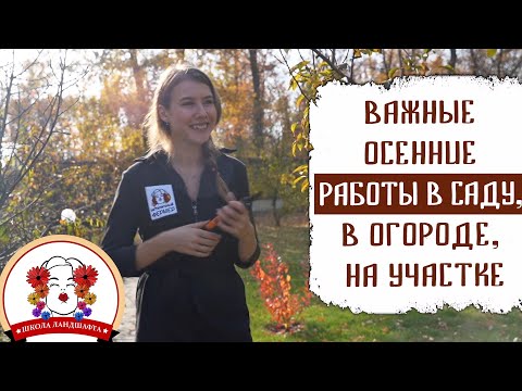 Видео: ВАЖНЫЕ ОСЕННИЕ РАБОТЫ В САДУ, В ОГОРОДЕ, НА УЧАСТКЕ.  ПОДГОТОВКА К ЗИМЕ