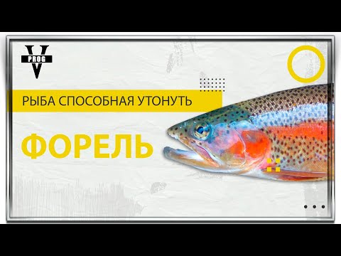 Видео: ФОРЕЛЬ. Как ловить и все о рыбе, которая способна утонуть !
