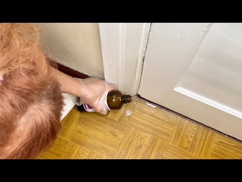 Видео: НОВЫЙ ЛИНОЛЕУМ ЗА 5 МИНУТ