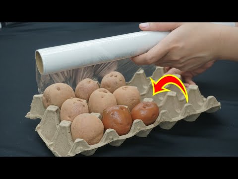 Видео: 20 гениальных домашних хитростей, которые стоит попробовать уже сегодня