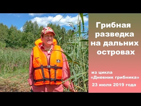Видео: В горелый лес на грибную разведку.  Дневник грибника 23 июля 2019 года.