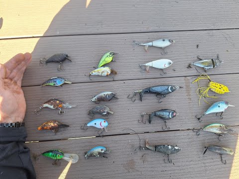 Видео: Сегодня нашёл ещё 20 приманок и 2 огромные рыбы.