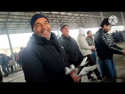 Видео: ринок г Душанбе Рудаки Ленинский район падписатся барои пеш рави