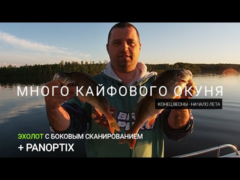 Видео: Эхолот с боковым сканером и panoptix. Ловля окуня в отвес. Поиск, техника, нюансы. Весна - Лето