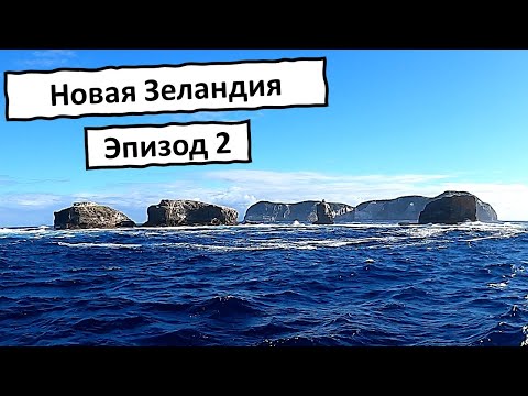Видео: Рыбалка на Большой Барьерном Острове (Новая Зеландия)