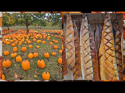 Видео: СЕЛЬЧАНКА В АМЕРИКЕ. 