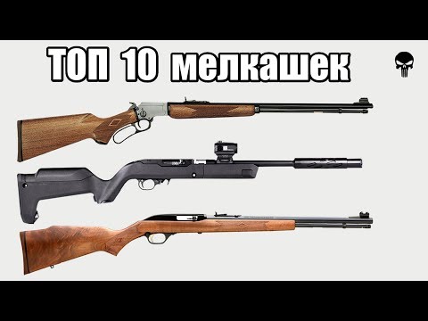 Видео: Топ 10 самых популярных малокалиберных винтовок .22 LR