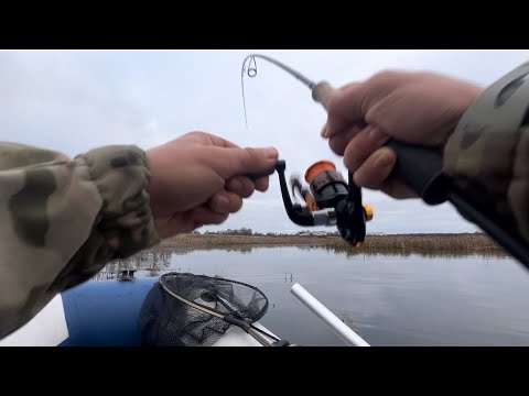 Видео: ЭТУ БОРЬБУ НАДО ВИДЕТЬ,рыбалка на ультролайт осенью!