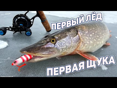 Видео: Щука на Обве, ловля щуки в актив на вибы.