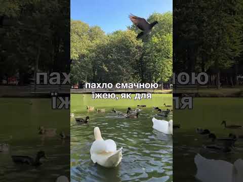 Видео: Оцінив дружину занадто пізно