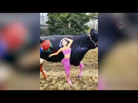 Видео: Камера Сняла Очень Интересное Видео! Топ 30