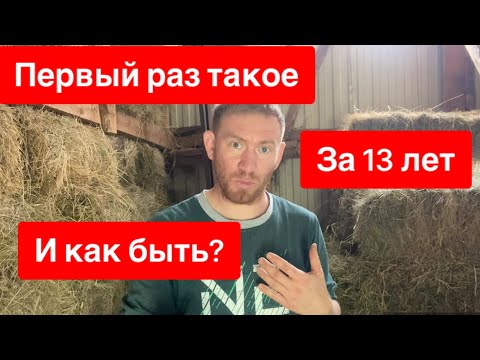 Видео: Я ОБЕСКУРАЖЕН 😳🤔