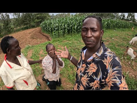 Видео: Моё сердце разбито и тяжело 💔