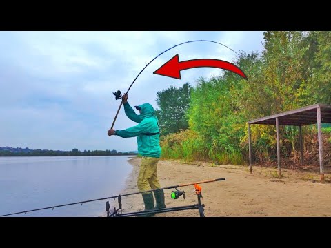 Видео: ДИСТАНЦІЯ - вирішує все❗️Ловля на ФЛЕТ ФІДЕР без закорму 🎣