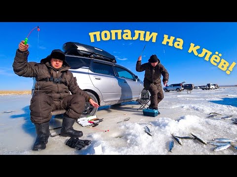 Видео: Зимняя рыбалка с ночёвкой. КЛЮЁТ ВСЁ! Навага, селёдка, писуч